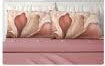 Competo letto matrimoniale in puro cotone con 4 federe fantasia diana Lenzuola sopra t unita 250x290cm Lenzuola sotto t unita con angoli maxi 175x200 cm 2 federe t unita in puro cotone 52x82 2 federe stampa digitale poliestere 50x80